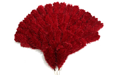 Hackle Plume, Hackle Plume Suppliers and Manufacturers